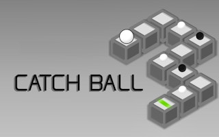 Image Catch Ball