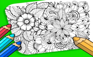 Image Flowers Coloring Game for Adults