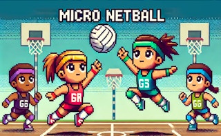 Image Micro Netball