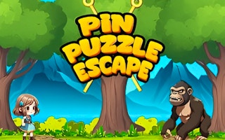 Image Pin Puzzle Escape